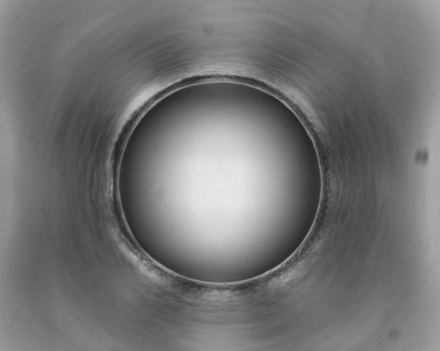 X0000091690982200709061121