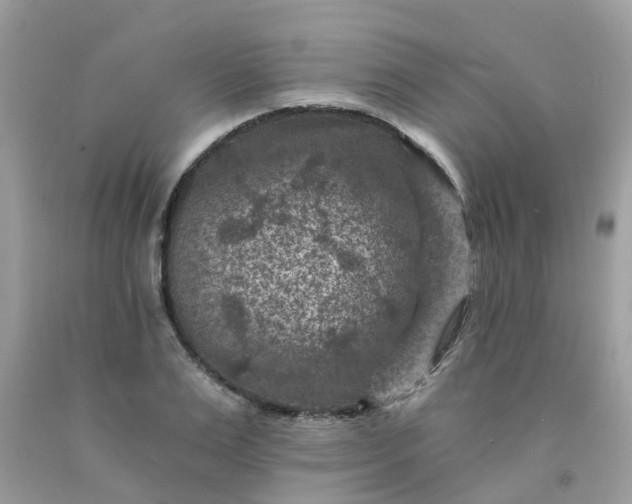 X0000091690983200709061121