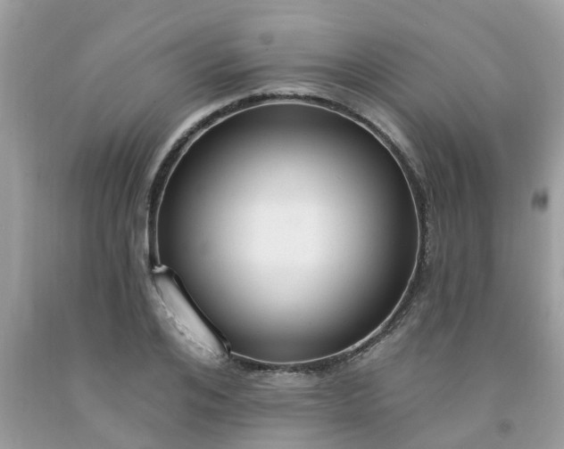 X0000091690984200709061121