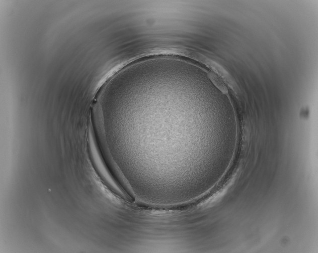 X0000091690985200709061121