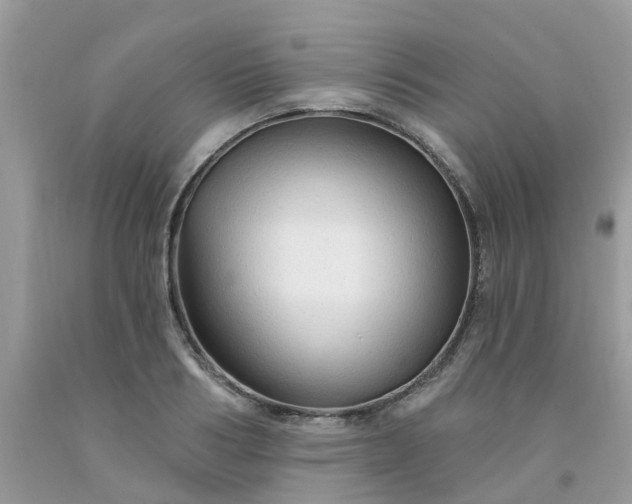 X0000091690986200709061121