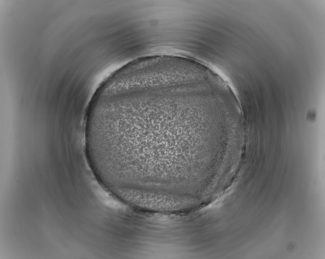 X0000091690987200709061121