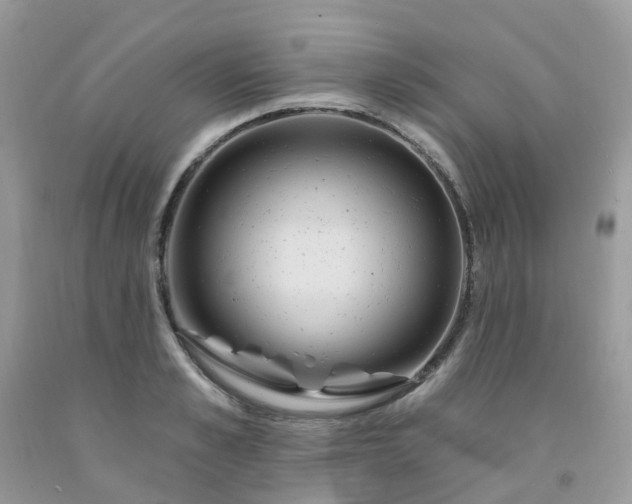 X0000091690989200709061121