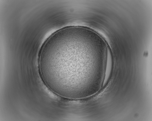 X0000091690990200709061121