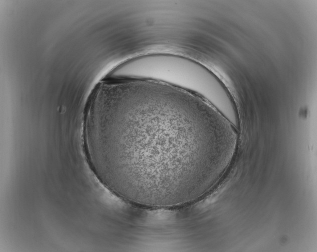 X0000091690992200709061121