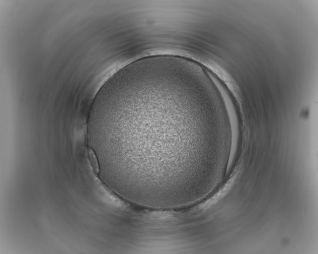 X0000091690993200709061121