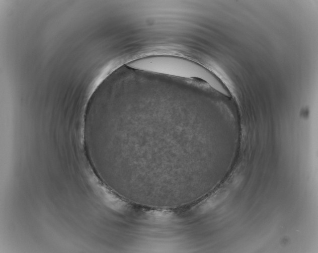 X0000091690994200709061121