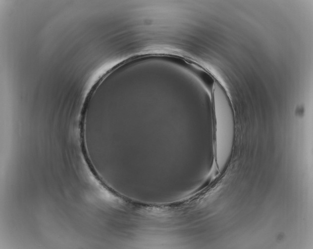 X0000091690995200709061121