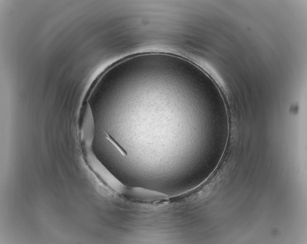 X0000091690996200709061121