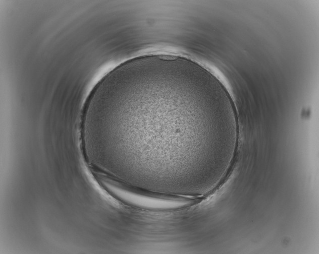 X0000091690997200709061121