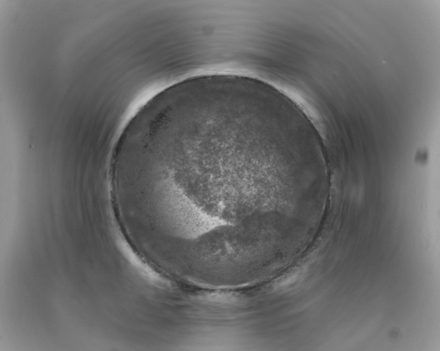 X0000091690998200709061121