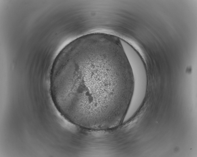 X0000091690999200709061121