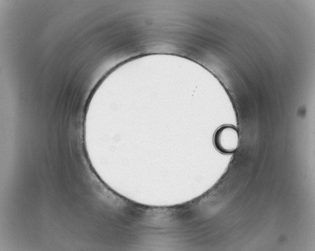 X0000091691000200709061121