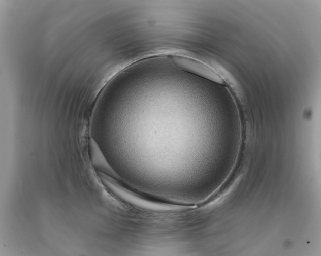 X0000091691001200709061121