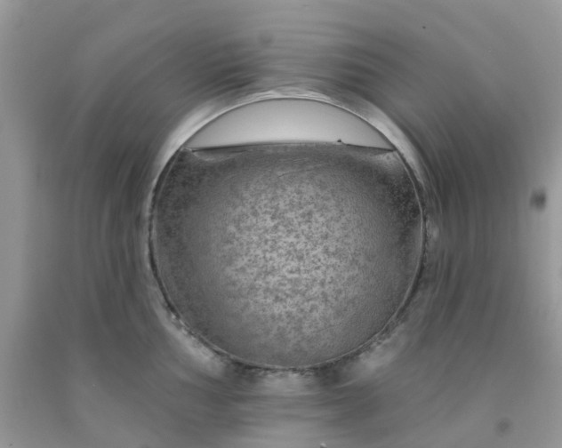 X0000091691002200709061121