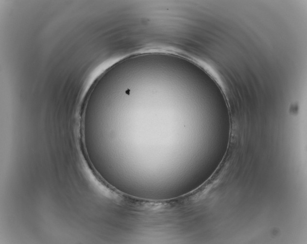 X0000091691003200709061121