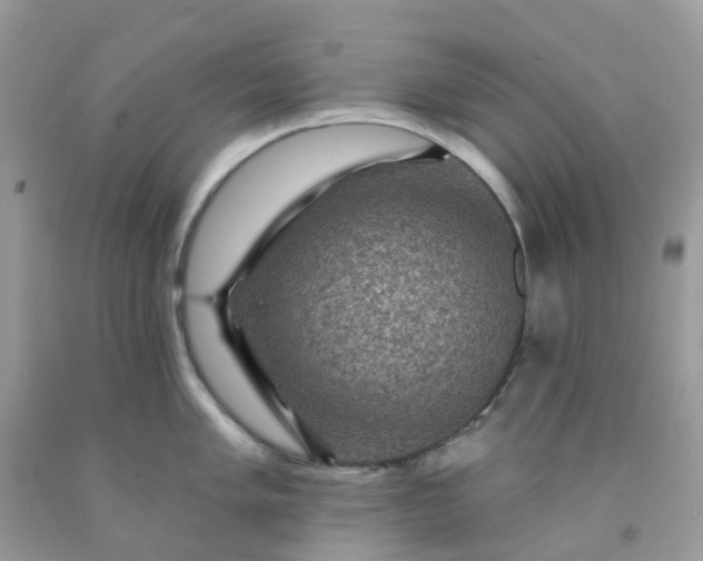 X0000091691005200709061121