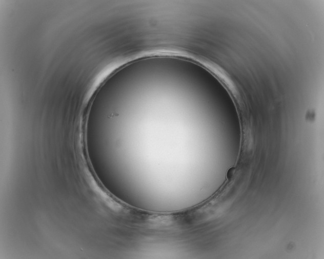 X0000091691006200709061121