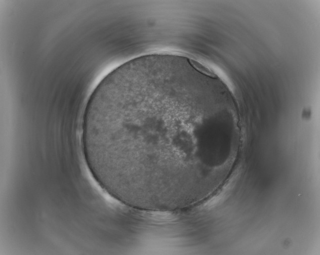 X0000091691007200709061121