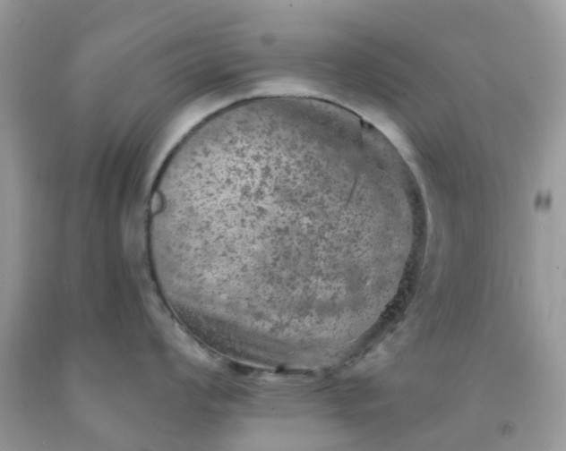 X0000091691008200709061121