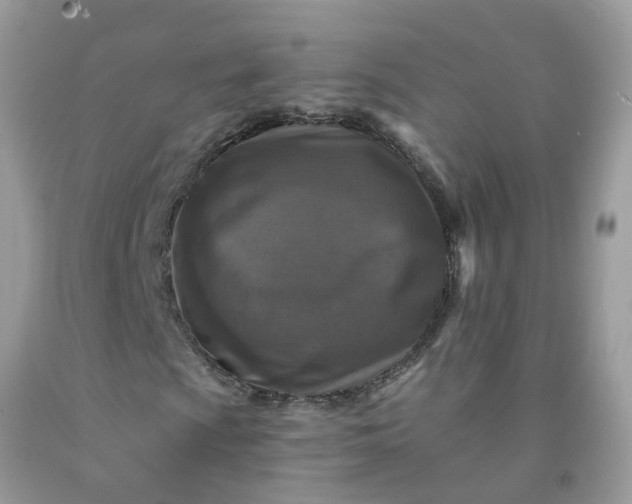 X0000091691009200709061120