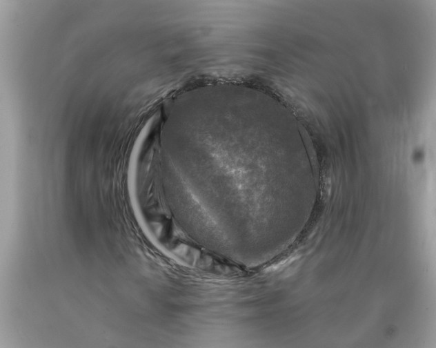 X0000091691010200709061120