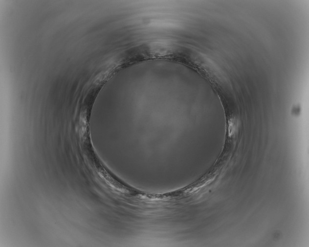 X0000091691011200709061120