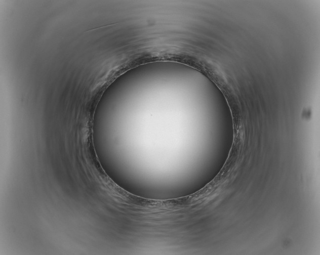 X0000091691012200709061120