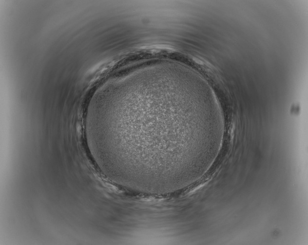 X0000091691014200709061120