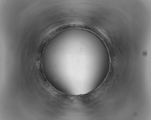 X0000091691015200709061120