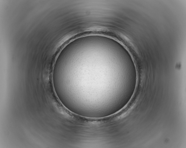 X0000091691017200709061120