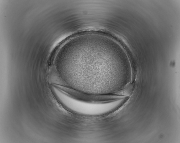 X0000091691018200709061120