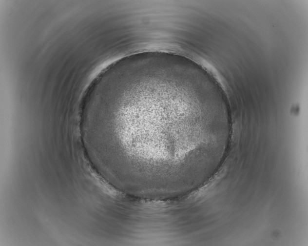 X0000091691019200709061120