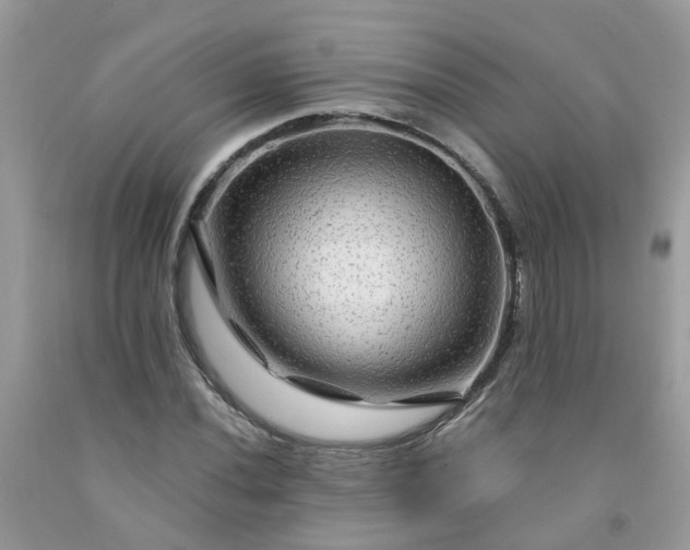 X0000091691020200709061121