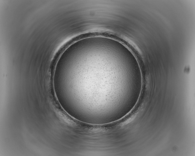 X0000091691021200709061121