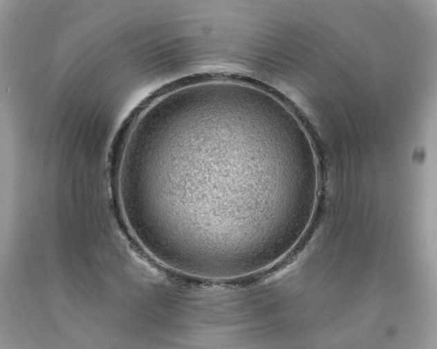 X0000091691022200709061121