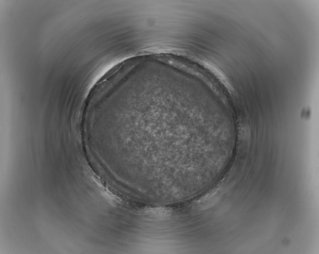 X0000091691023200709061121