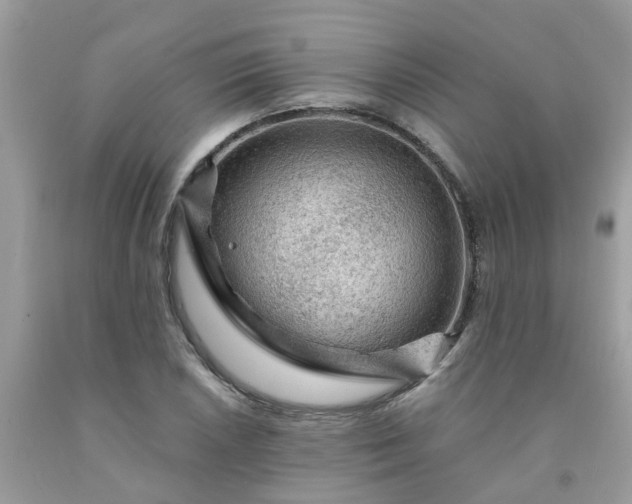 X0000091691026200709061121