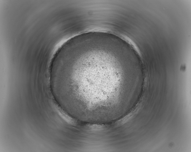 X0000091691027200709061121