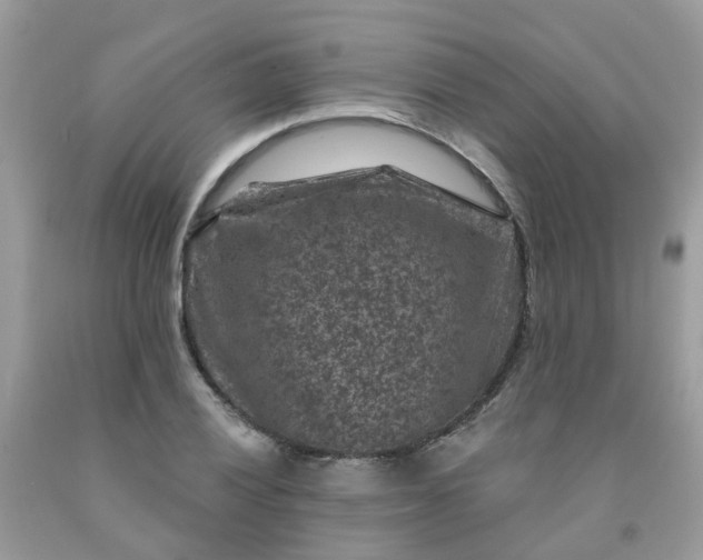 X0000091691028200709061121