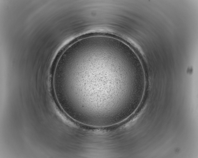 X0000091691029200709061121