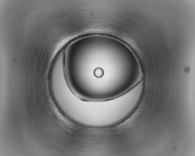 X0000091691030200709061121