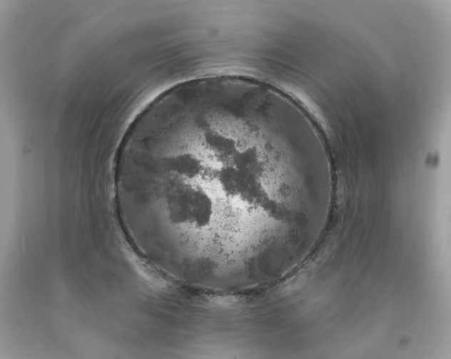 X0000091691031200709061121