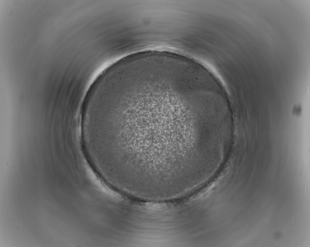 X0000091691032200709061121