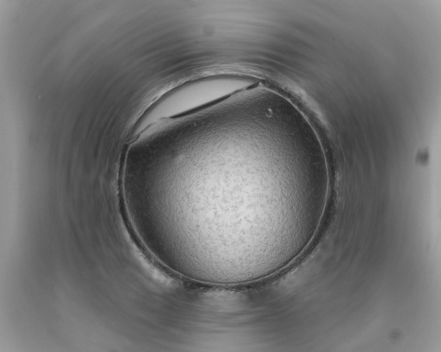 X0000091691033200709061121