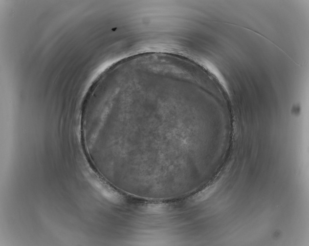 X0000091691035200709061121