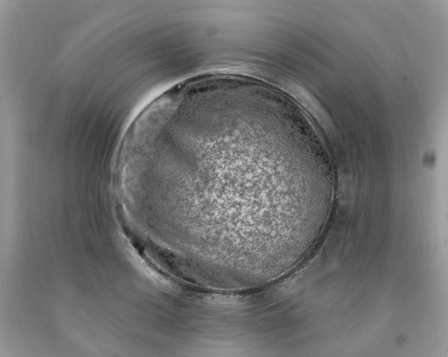 X0000091691036200709061121