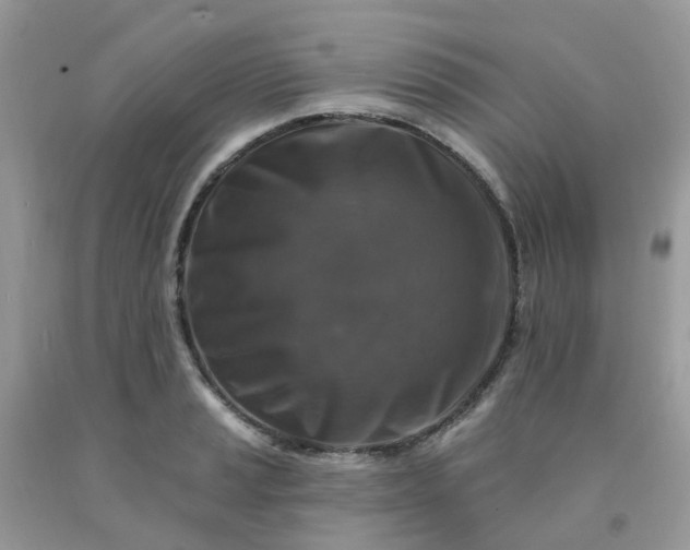 X0000091691037200709061121