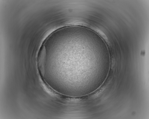 X0000091691039200709061121