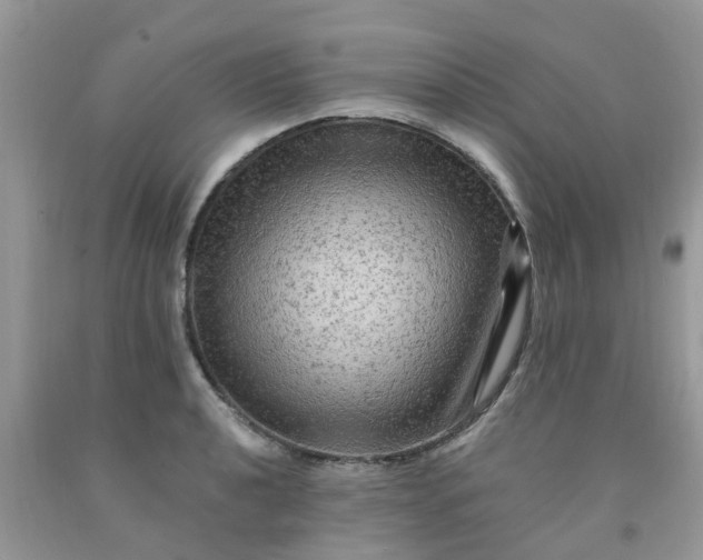 X0000091691040200709061121